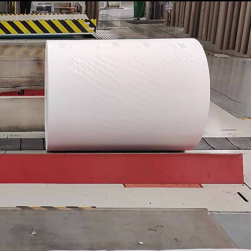 Paper Roll Wrapping and Conveying System